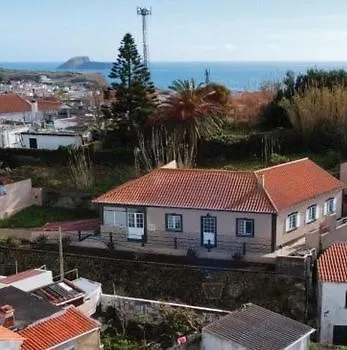 Monstera & Yucca House *