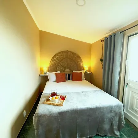 Monstera & Yucca House *