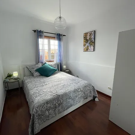 Monstera & Yucca House