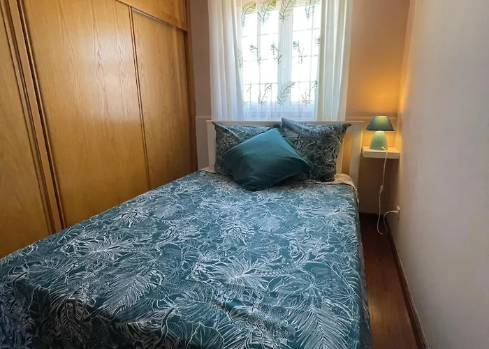 Monstera & Yucca House アングラ・ド・エロイーズモ