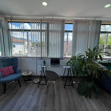 Monstera & Yucca House *