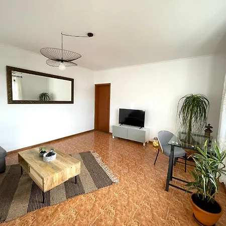 Monstera & Yucca House