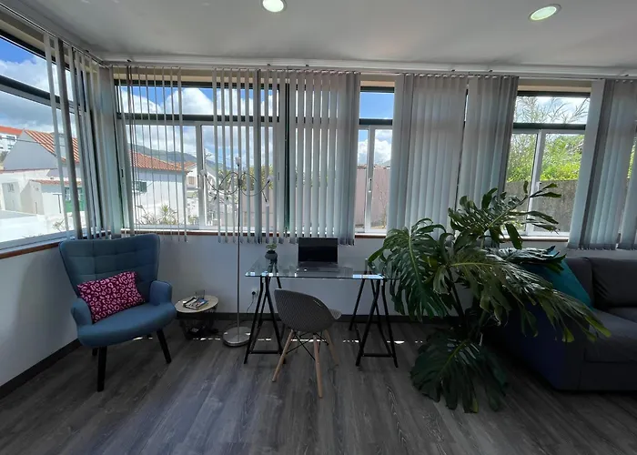 Monstera & Yucca House *