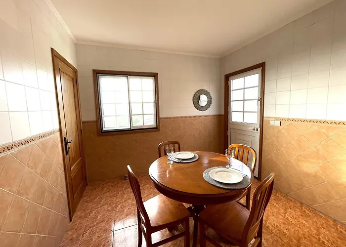 Apartament Monstera & Yucca House