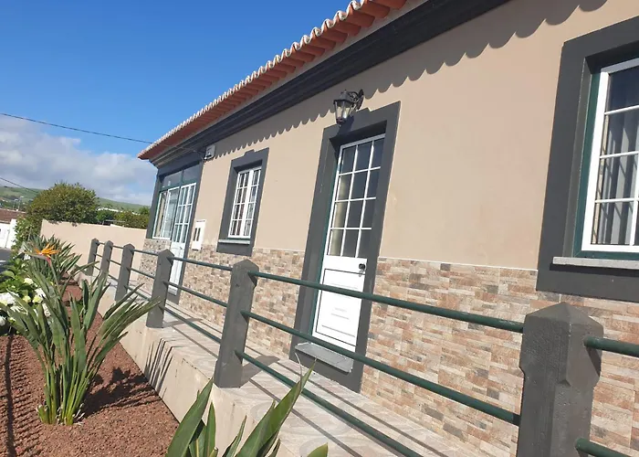 Monstera & Yucca House *