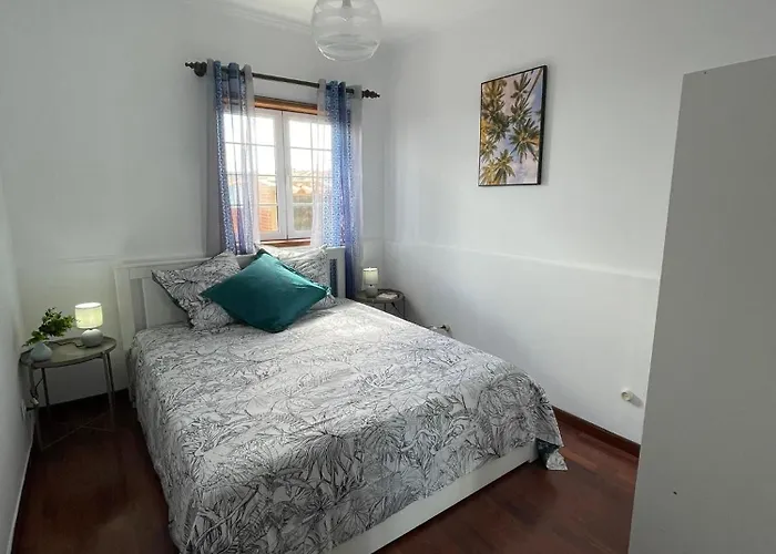 Monstera & Yucca House