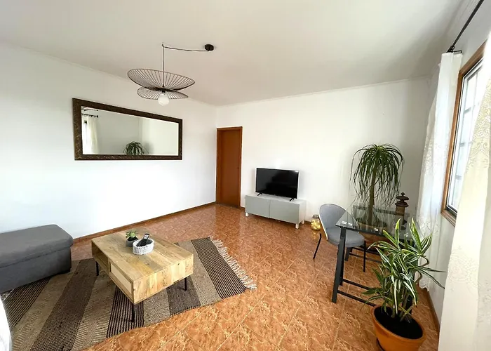 Monstera & Yucca House